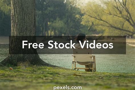 Vidz+7 Videos, Download The BEST Free 4k Stock Video。